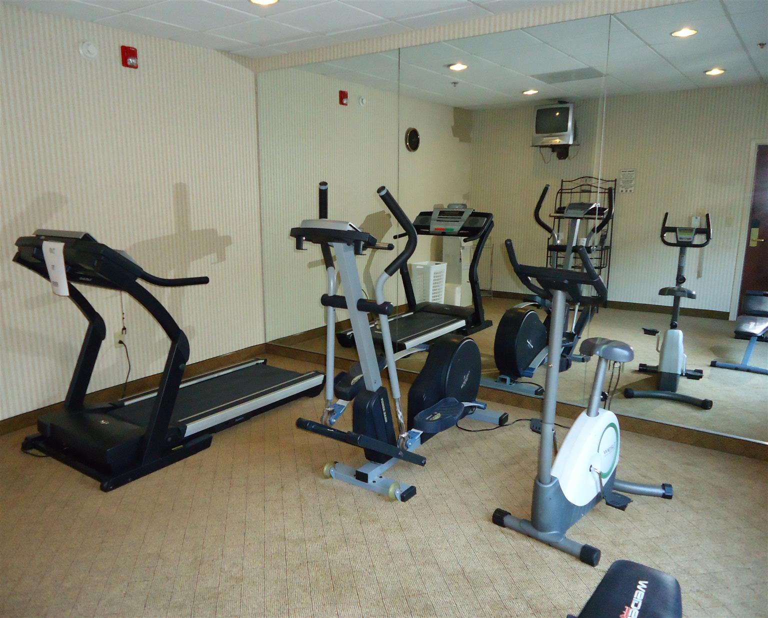 Best Western Magnolia Inn And Suites Ladson Konforlar fotoğraf
